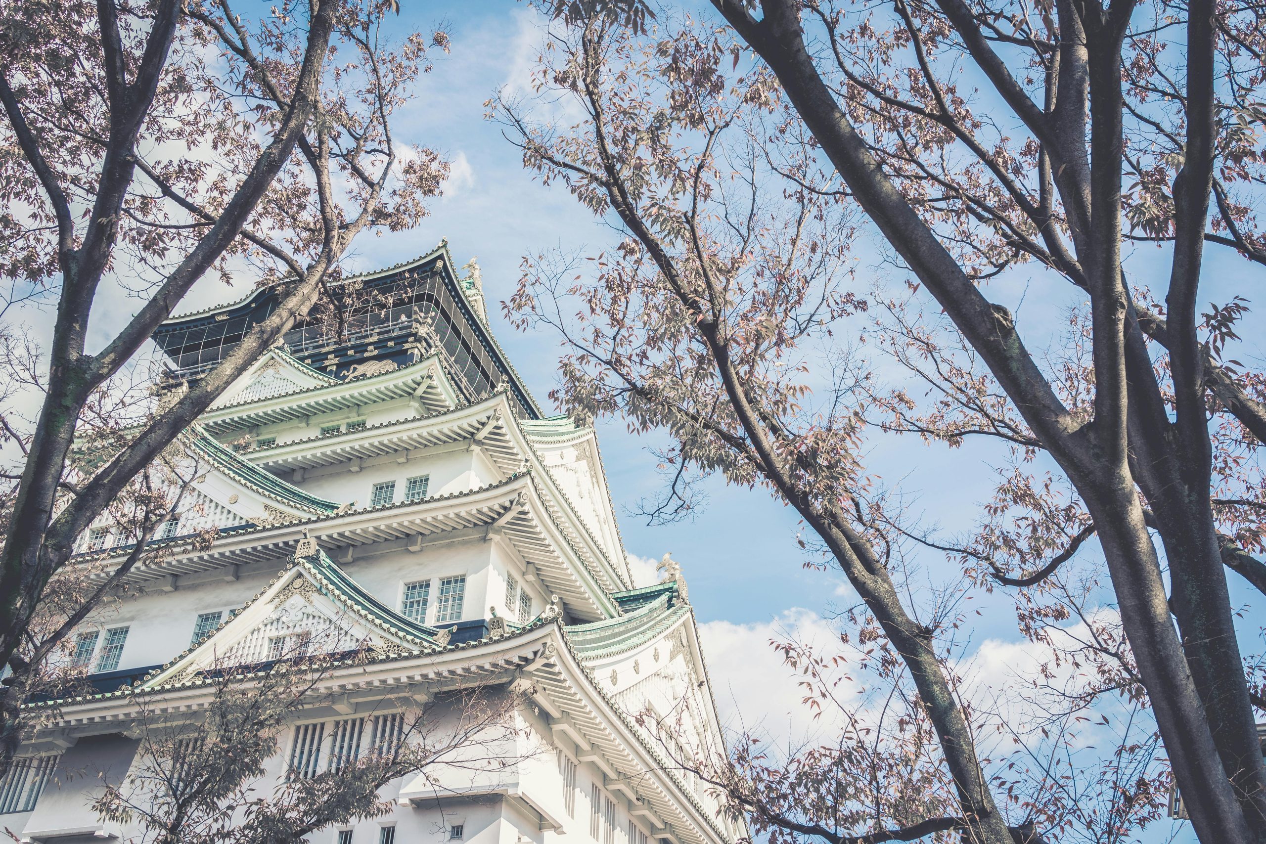 BIOIMA JAPAN｜バイオ国際貿易・日本市場サプライチェーン支援