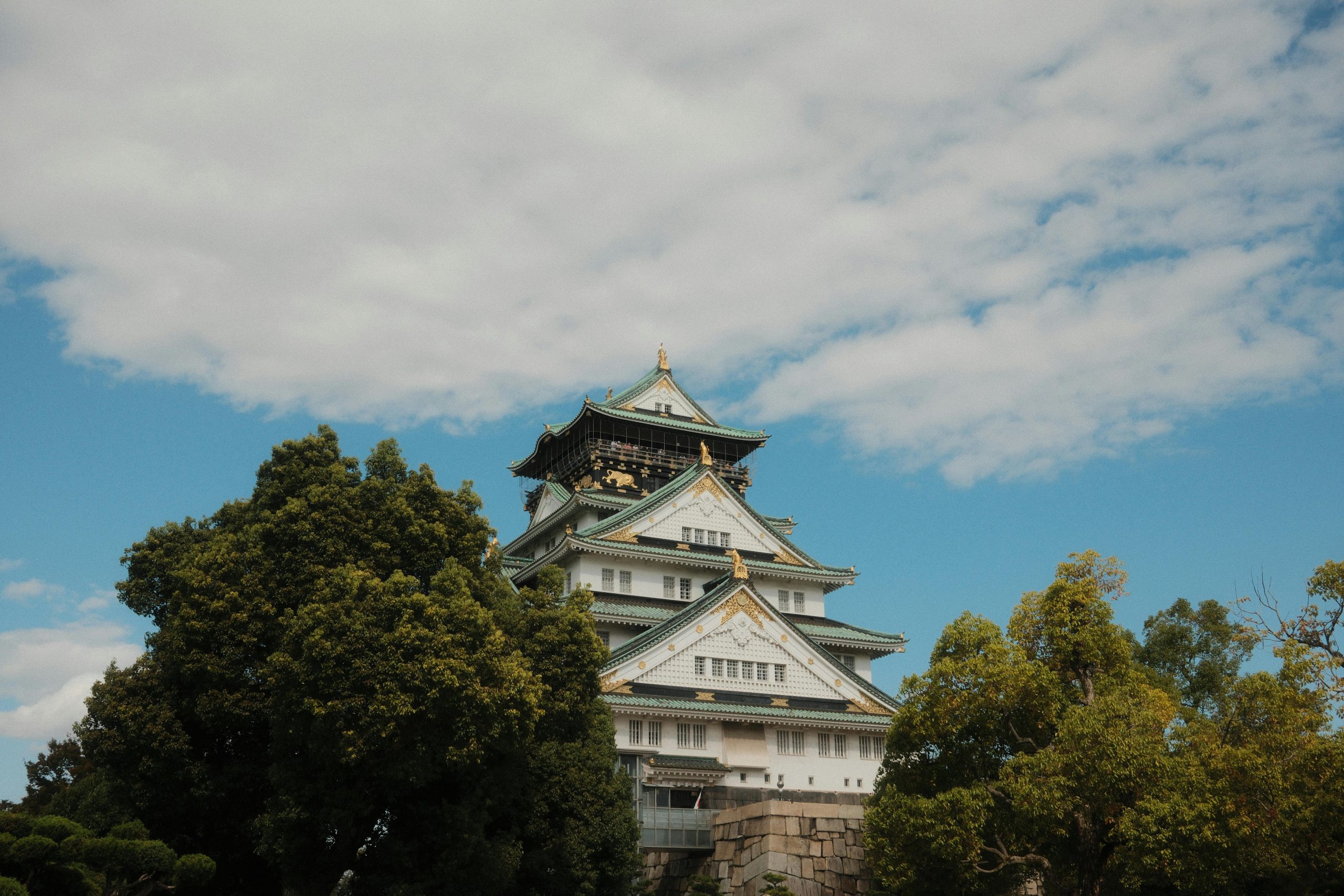 BIOIMA JAPAN｜バイオ国際貿易・日本市場サプライチェーン支援